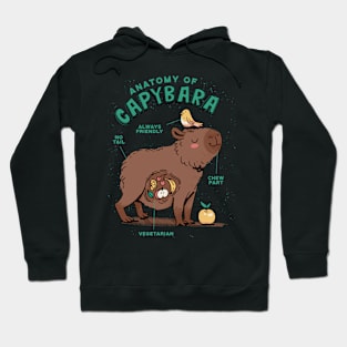 Funny Capybara Anatomy Hoodie